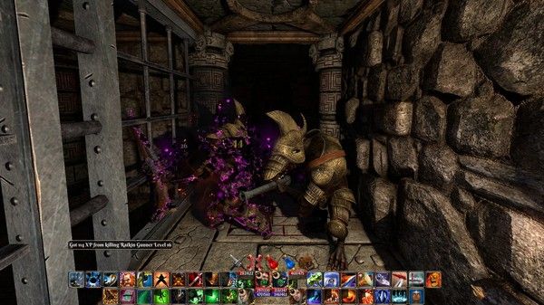 The Fall of the Dungeon Guardians - Enhanced Edition 截图