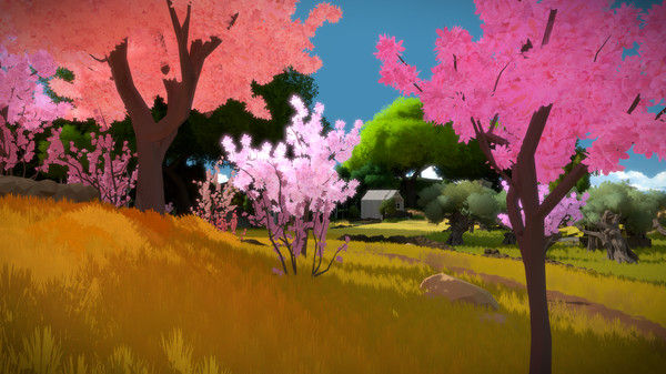 目击者/The Witness 截图