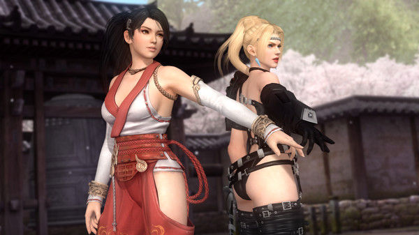 死或生5/DEAD OR ALIVE 5 Last Round: Core Fighters 截图