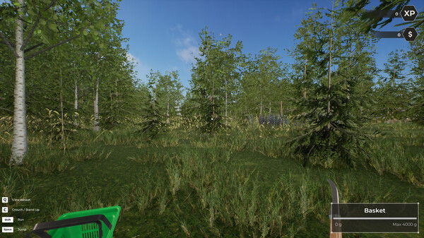 蘑菇猎人世界/Mushroom Hunter World 截图