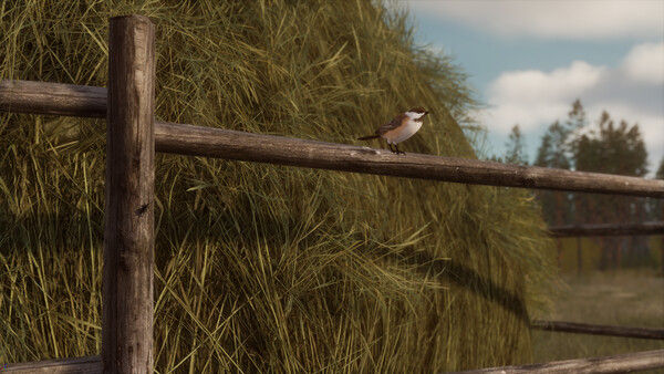 BULT：狩猎模拟器/BULT: Hunting simulator 截图