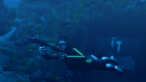 古墓丽影8：地下世界/Tomb Raider: Underworld 截图