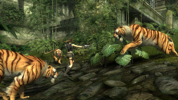 古墓丽影8：地下世界/Tomb Raider: Underworld 截图
