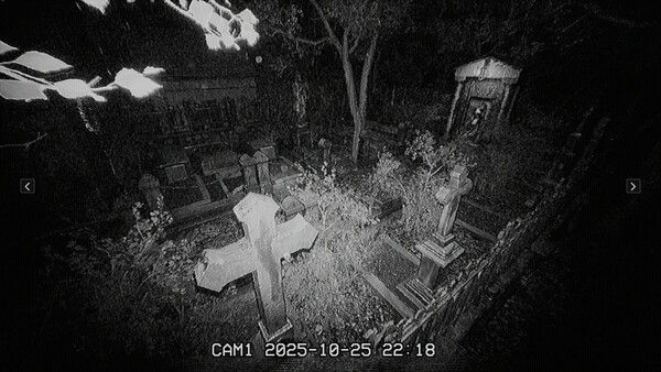 The Cemetery Shift | 墓地の夜勤 截图