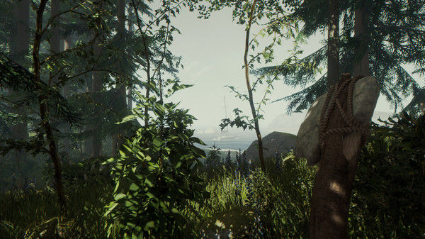 森林/The Forest 截图