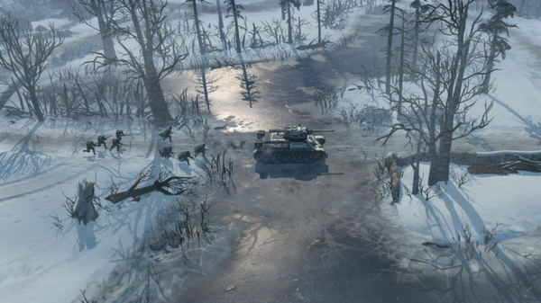 英雄连2/Company of Heroes 2 截图
