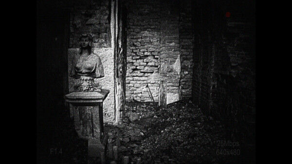 [录制] 荒芜/[REC] Desolation 截图