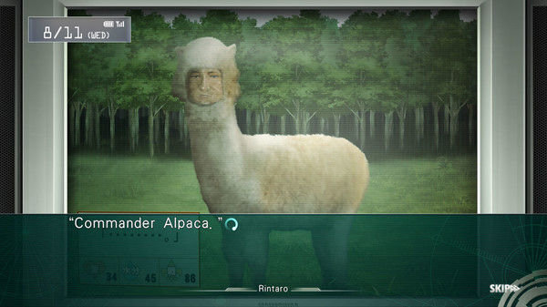 命运石之门：线形拘束的表征图/STEINS;GATE: Linear Bounded Phenogram 截图
