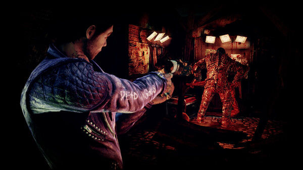 暗影诅咒：地狱重制版/Shadows of the Damned: Hella Remastered 截图