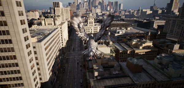 鸽子飞行模拟器/Pigeon Flight Simulator 截图