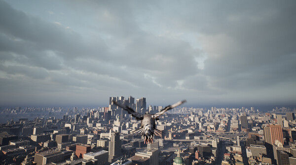 鸽子飞行模拟器/Pigeon Flight Simulator 截图