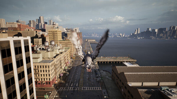 鸽子飞行模拟器/Pigeon Flight Simulator 截图