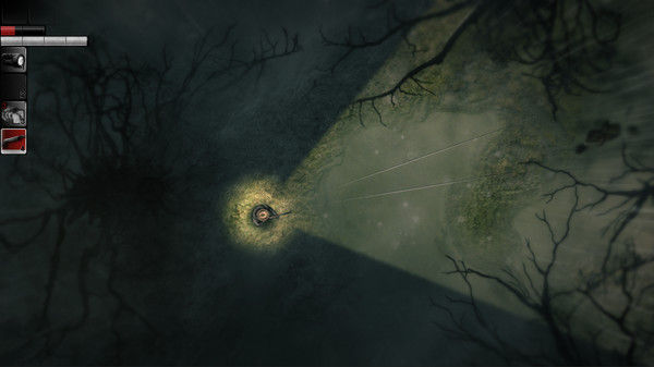 阴暗森林 Darkwood 截图
