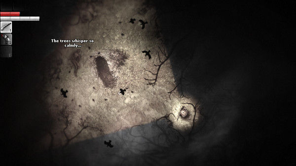 阴暗森林 Darkwood 截图