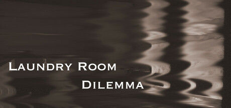 洗衣房困境/Laundry Room Dilemma 截图