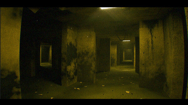 后室回声/Echoes of The Backrooms: Remastered 截图