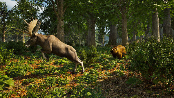 Park Ranger Simulator 截图