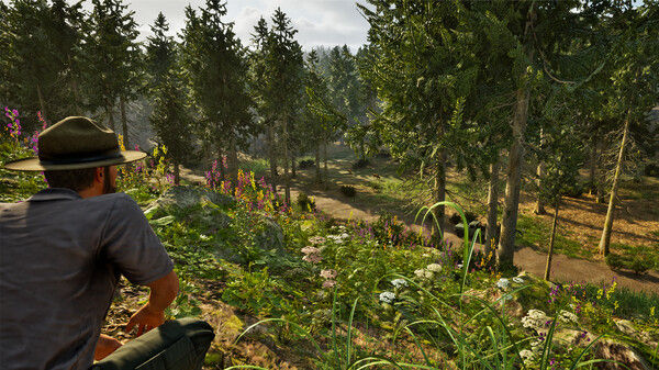 Park Ranger Simulator 截图