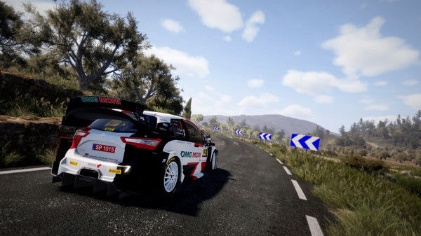 世界汽车拉力锦标赛10/WRC 10 FIA World Rally Championship 截图