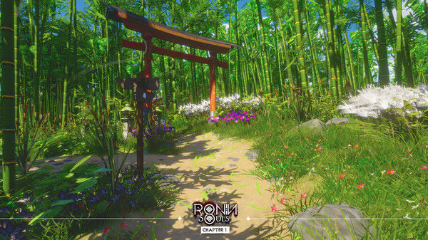 浪人：两魂一体/RONIN: Two Souls CHAPTER 1 截图