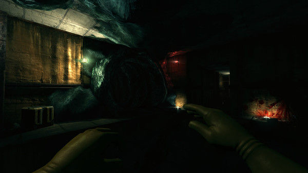 内脏清洁工/Viscera Cleanup Detail 截图