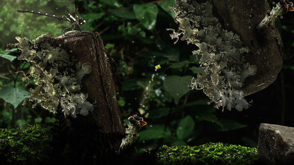 幼苗/Seedlings 截图