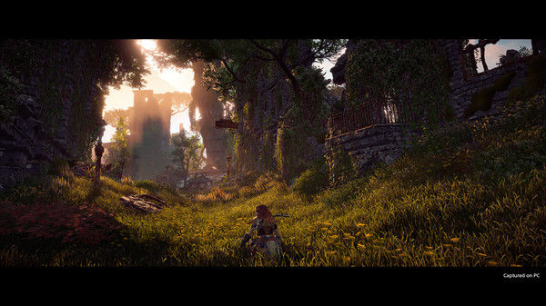Horizon Zero Dawn™ Complete Edition 截图