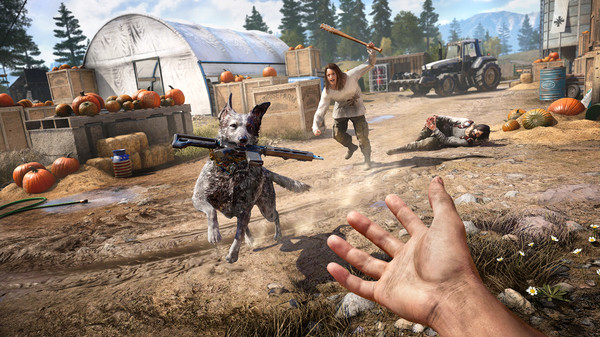 Far Cry® 5 截图