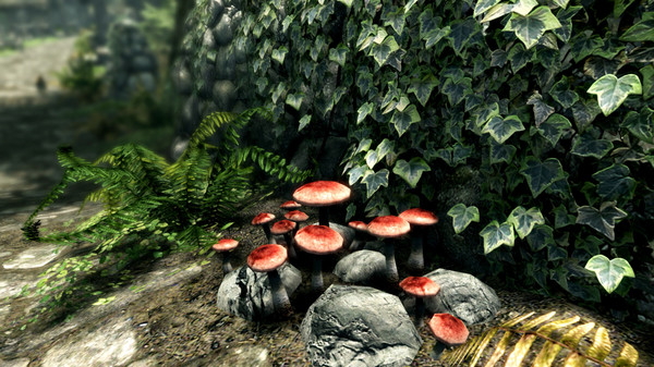 上古卷轴5：周年纪念版/The Elder Scrolls V: Skyrim Special Edition 截图