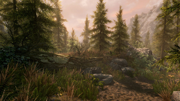 上古卷轴5：周年纪念版/The Elder Scrolls V: Skyrim Special Edition 截图