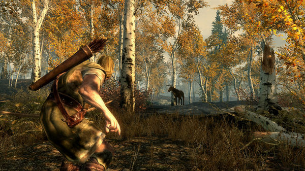 The Elder Scrolls V: Skyrim 截图