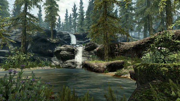 The Elder Scrolls V: Skyrim 截图