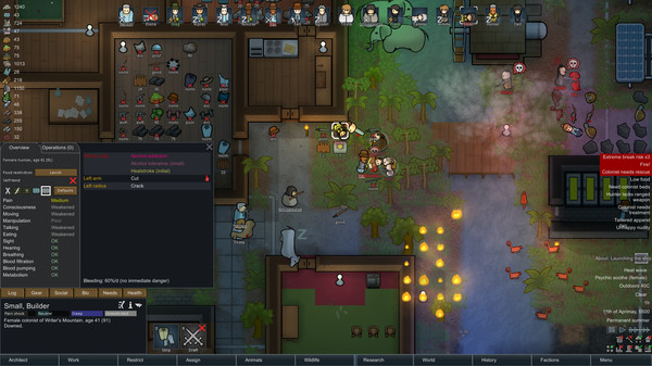 边缘世界/环世界/RimWorld 截图