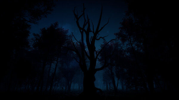 瘦长鬼影：降临/Slender: The Arrival 截图