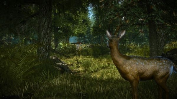 巫师2：刺客之王/The Witcher 2: Assassins of Kings Enhanced Edition 截图