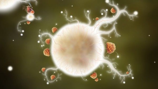 植物精灵 (Botanicula) 截图
