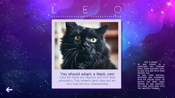 星座猫猫/Zodiacats 截图