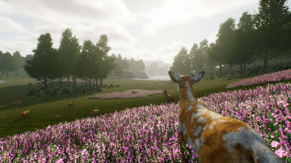 鹿之旅/Deer Journey 截图