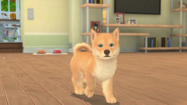 我的世界：小狗和小猫/My Universe - Puppies & Kittens 截图