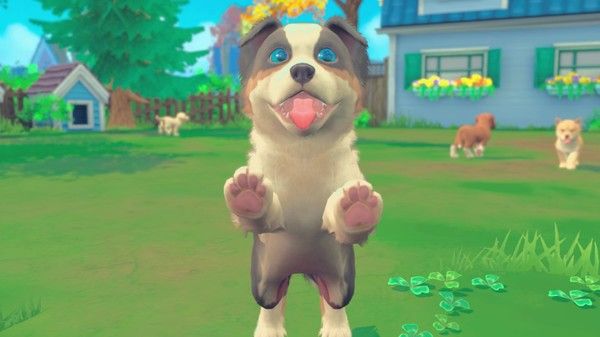 我的世界：小狗和小猫/My Universe - Puppies & Kittens 截图