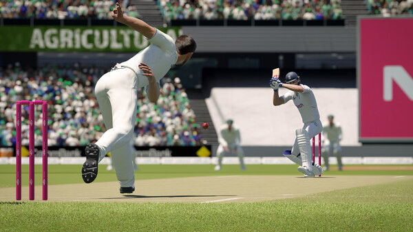 板球24/Cricket 24 截图
