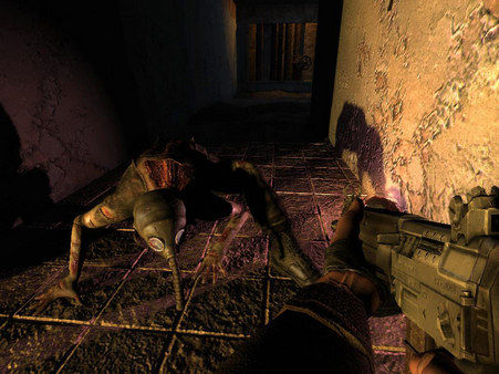 S.T.A.L.K.E.R.: Shadow of Chernobyl 截图