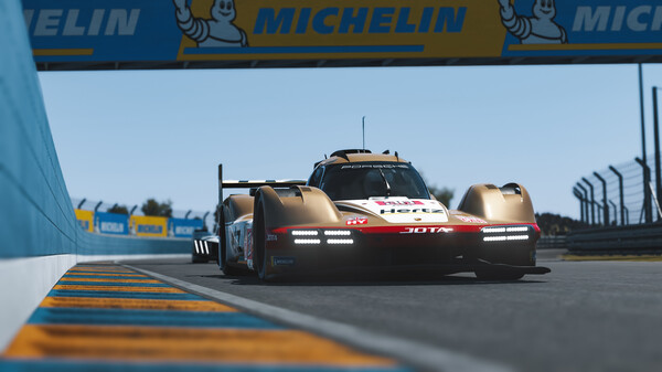 勒芒终极版/Le Mans Ultimate 截图