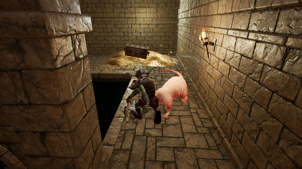 传送门地牢：哥布林逃亡/Portal Dungeon: Goblin Escape 截图