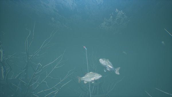 Bassmaster® Fishing 截图