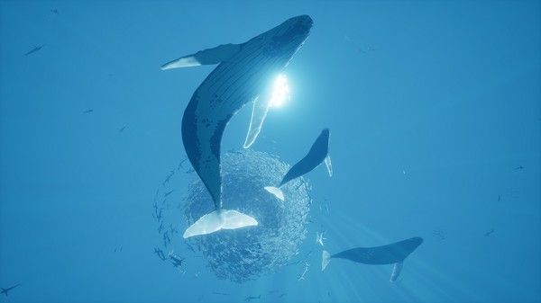 智慧之海/ABZU 截图