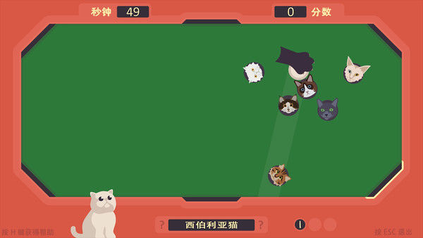 The Cat Games 截图